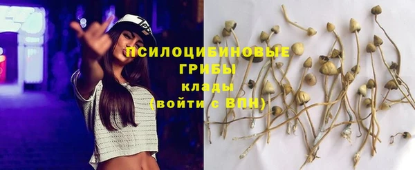 гашиш Надым