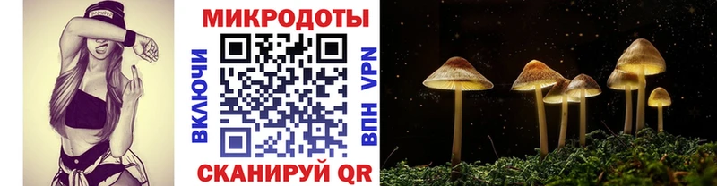 купить наркотики сайты  Горячеводский  Галлюциногенные грибы Psilocybine cubensis 